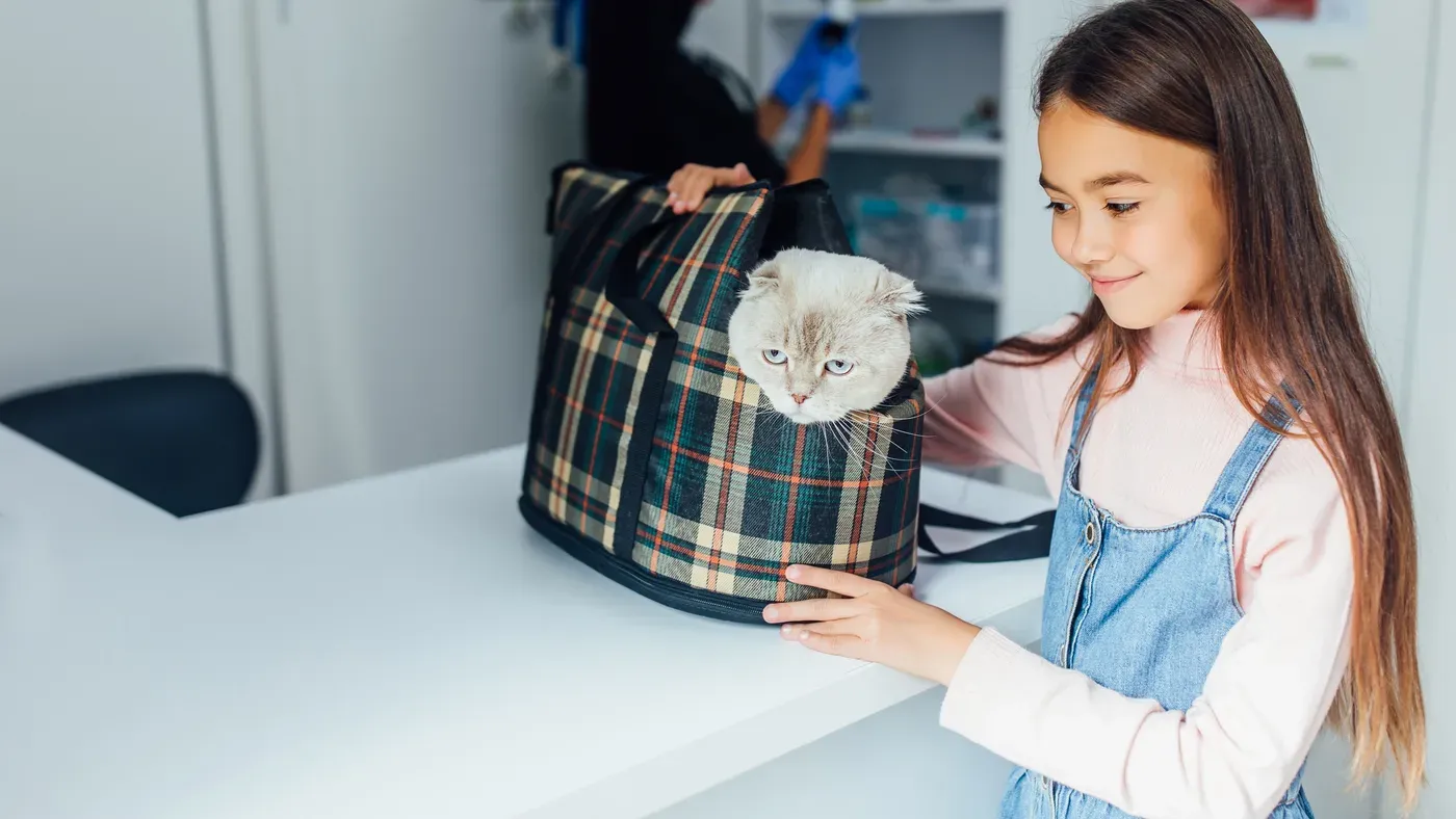 Transportbur med katt hos veterinären