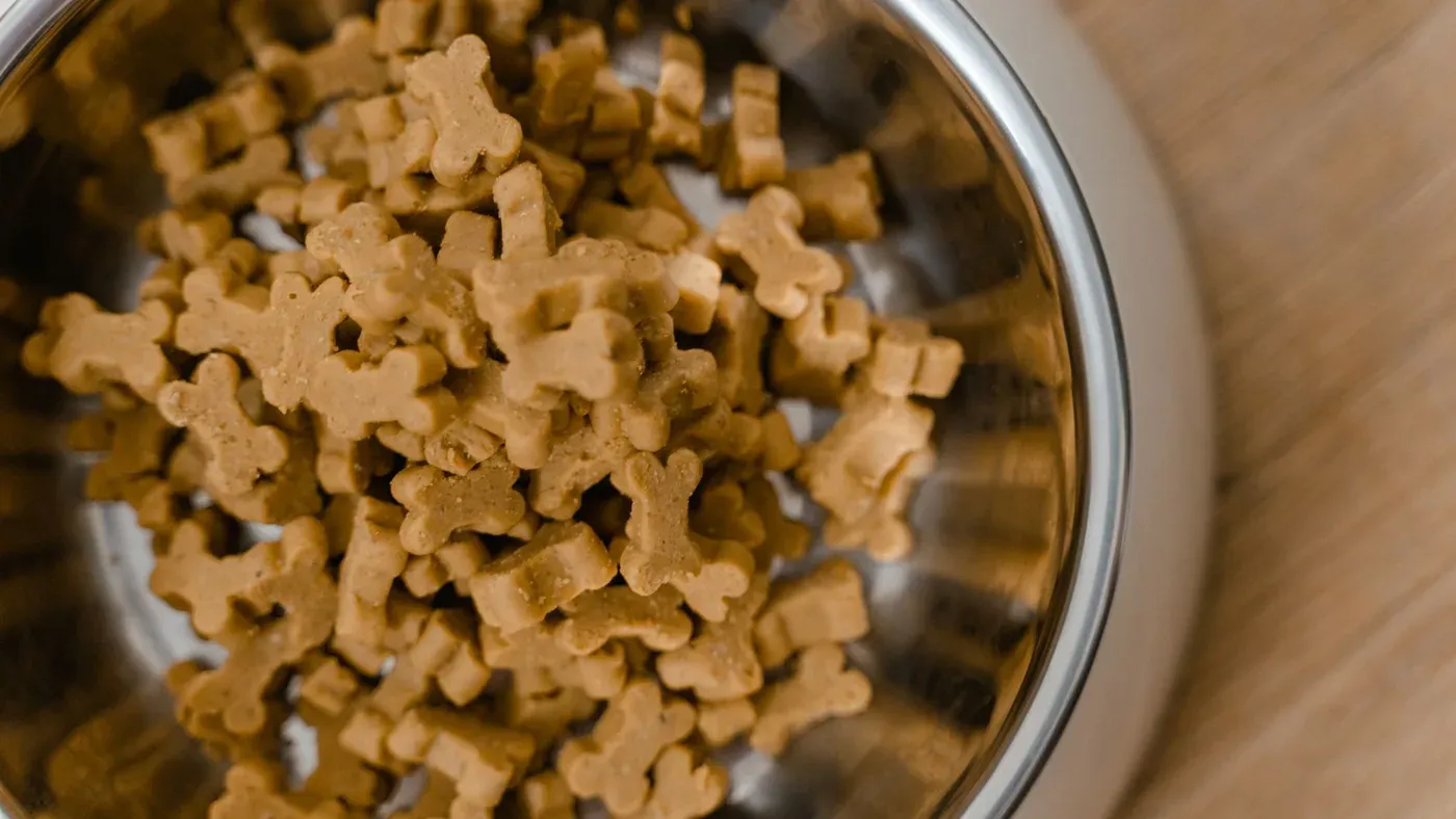 Frystorkade köttbitar i närbild